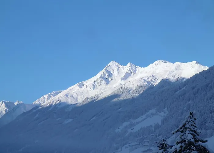 Apartment Stubaital *