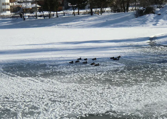 Stubaital Lägenhet Neustift im Stubaital